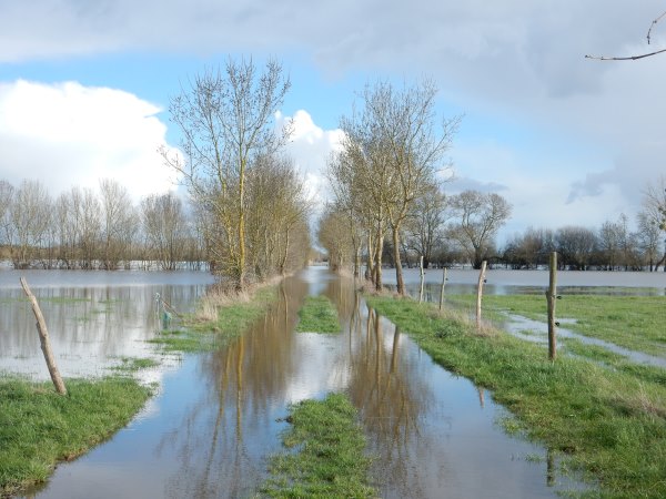 Inondations de La Loire en hiver - Un spectale